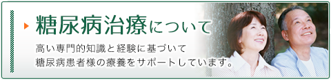 糖尿病治療について
